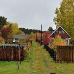 a fenced in yard with a house and trees in the background