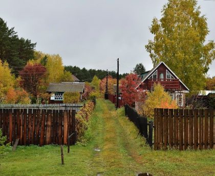 a fenced in yard with a house and trees in the background
